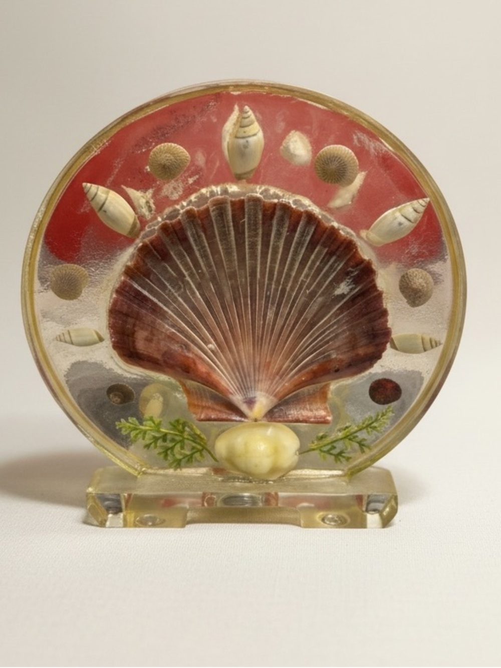 Vintage Seashell Hard Plastic Bohemian Shell Napkin Holder